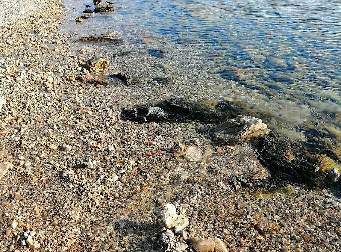 Jadranka Cacic * Klenovica